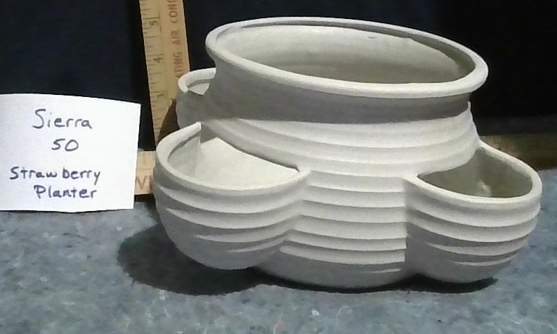 Strawberry Planter or Hens and chickens planter pot Seina 50