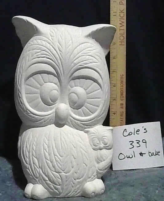 Owl and Baby Cole's 339