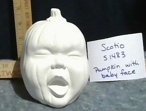 Baby face Pumpkin Scotio 51483